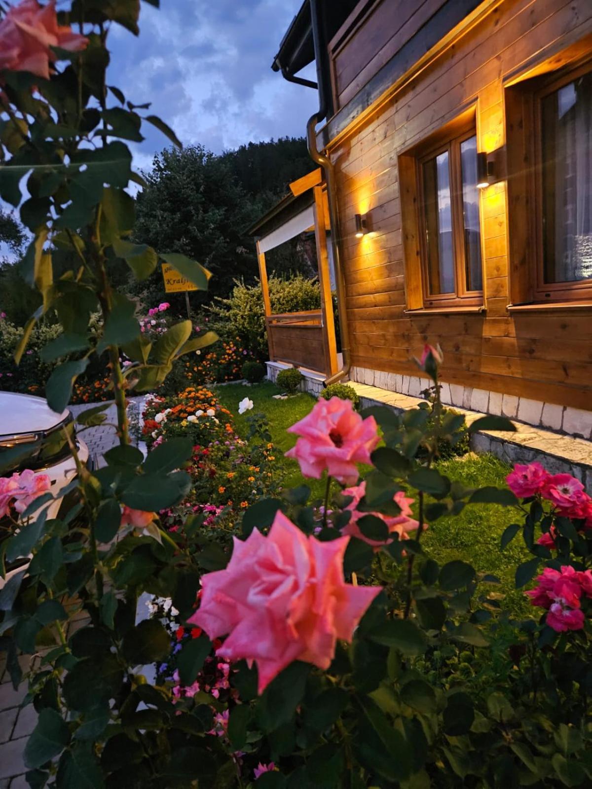 Guesthouse Sandra Kolašin Exteriör bild